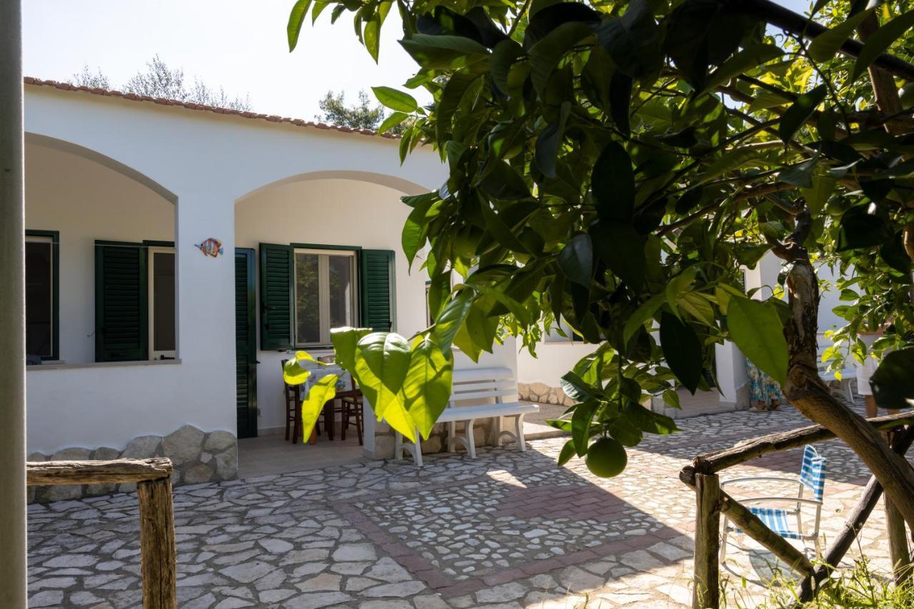 Appartement Penta Garden à Peschici Extérieur photo